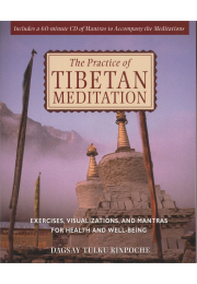 The Practice of Tibetan Meditation