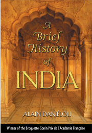 A Brief History of India