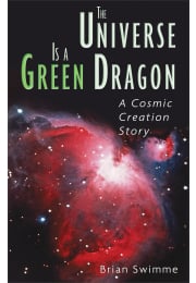 The Universe Is a Green Dragon
