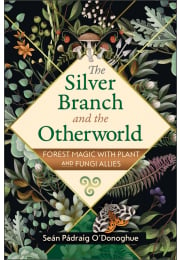 The Silver Branch and the Otherworld