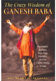 The Crazy Wisdom of Ganesh Baba