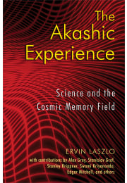 The Akashic Experience