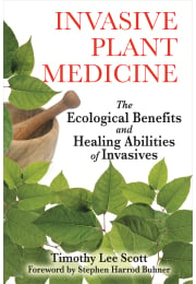 Invasive Plant Medicine