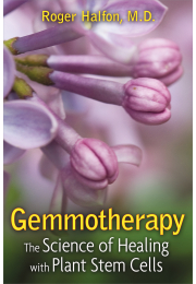Gemmotherapy