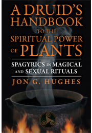 A Druid's Handbook to the Spiritual Power of Plants