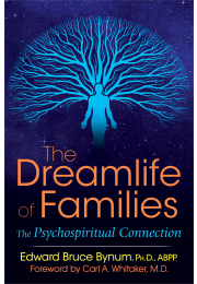 The Dreamlife of Families