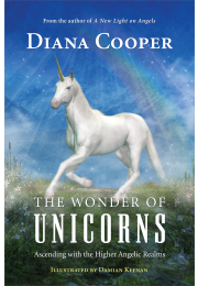 The Wonder of Unicorns