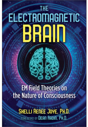 The Electromagnetic Brain