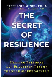 The Secret of Resilience